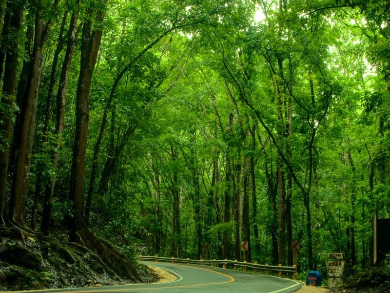 Bohol Countryside Tour